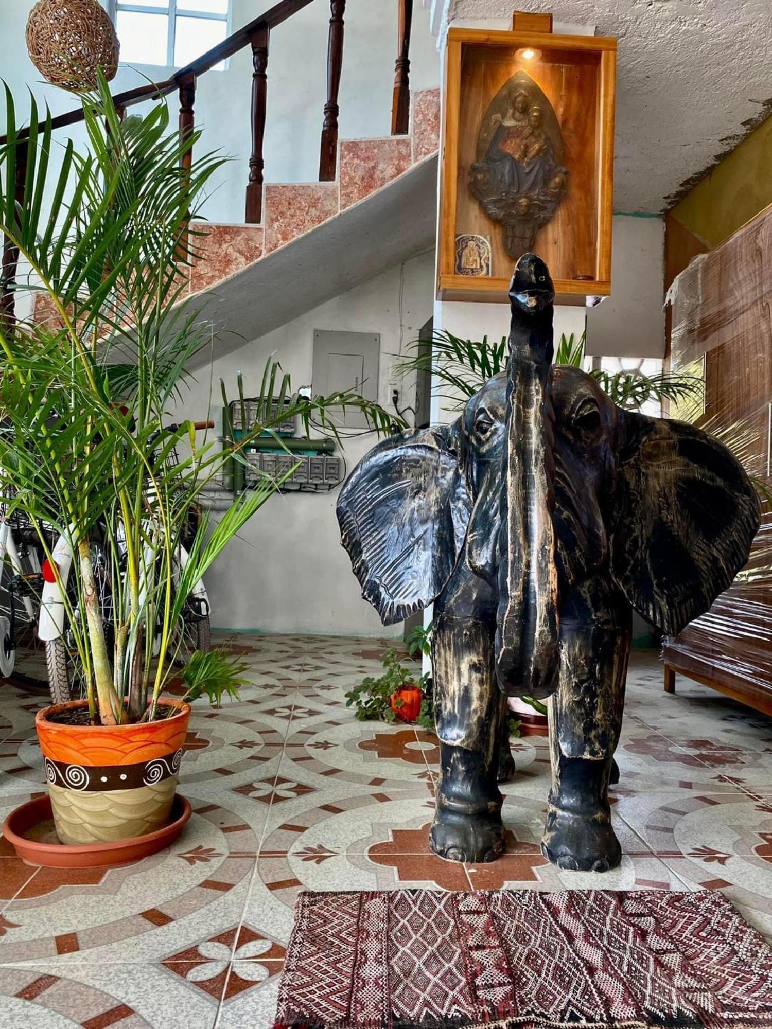 Casa Gajah Hotel Cuyo Bagian luar foto