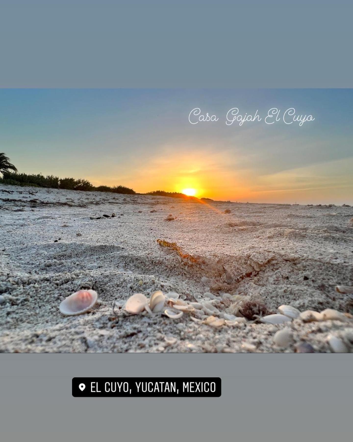 Casa Gajah Hotel Cuyo Bagian luar foto